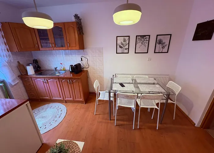 Zlota Woda Apartment *